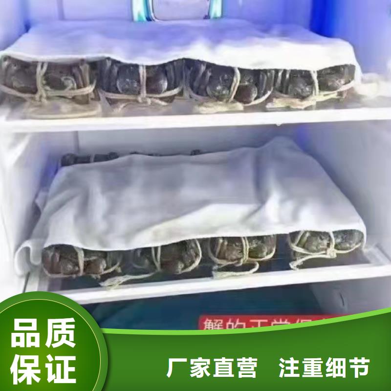 大闸蟹用心服务