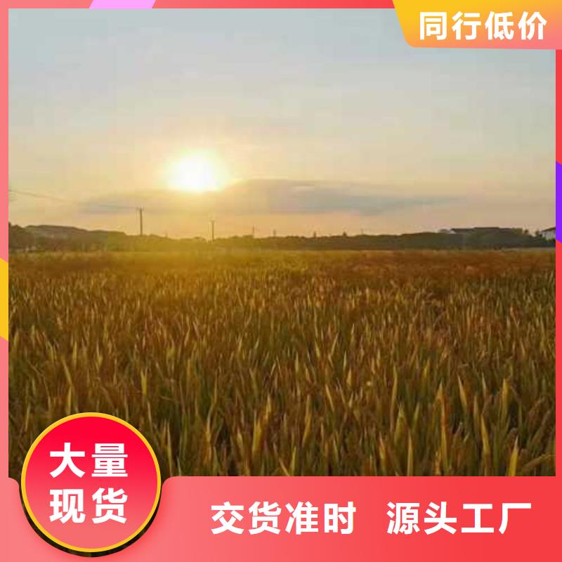 大闸蟹用心服务