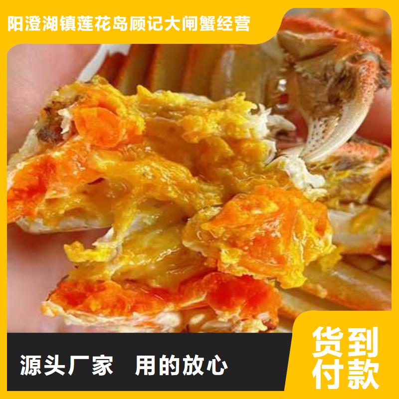 阳澄湖大闸蟹订购