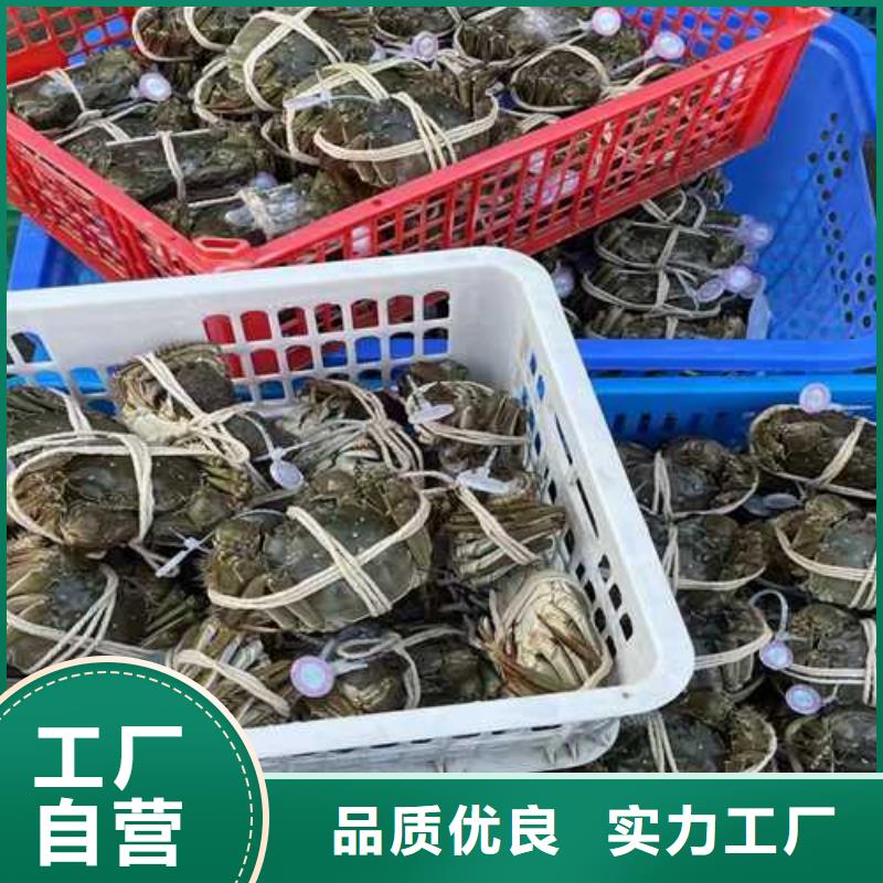 大闸蟹生产定制