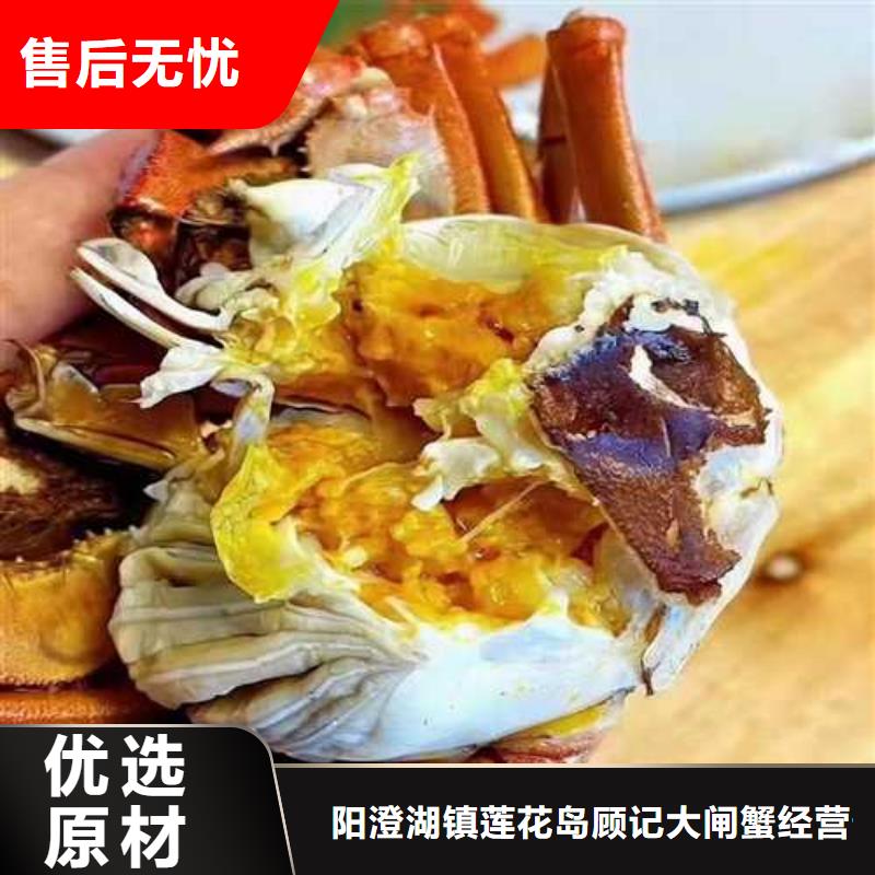 红膏大闸蟹鲜活特大