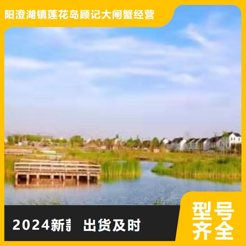 大闸蟹用心服务