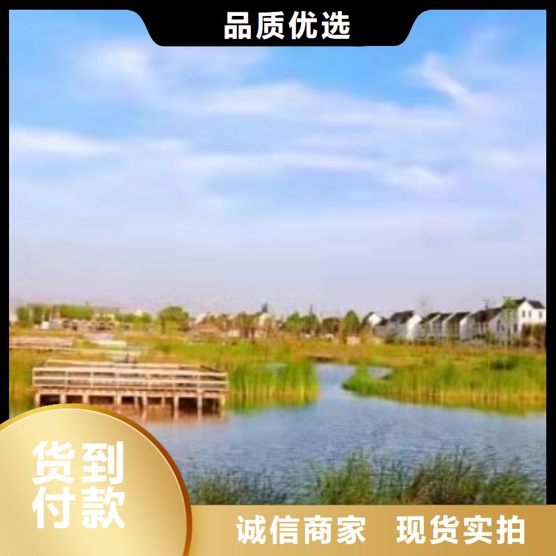 阳澄湖大闸蟹鲜活特大
