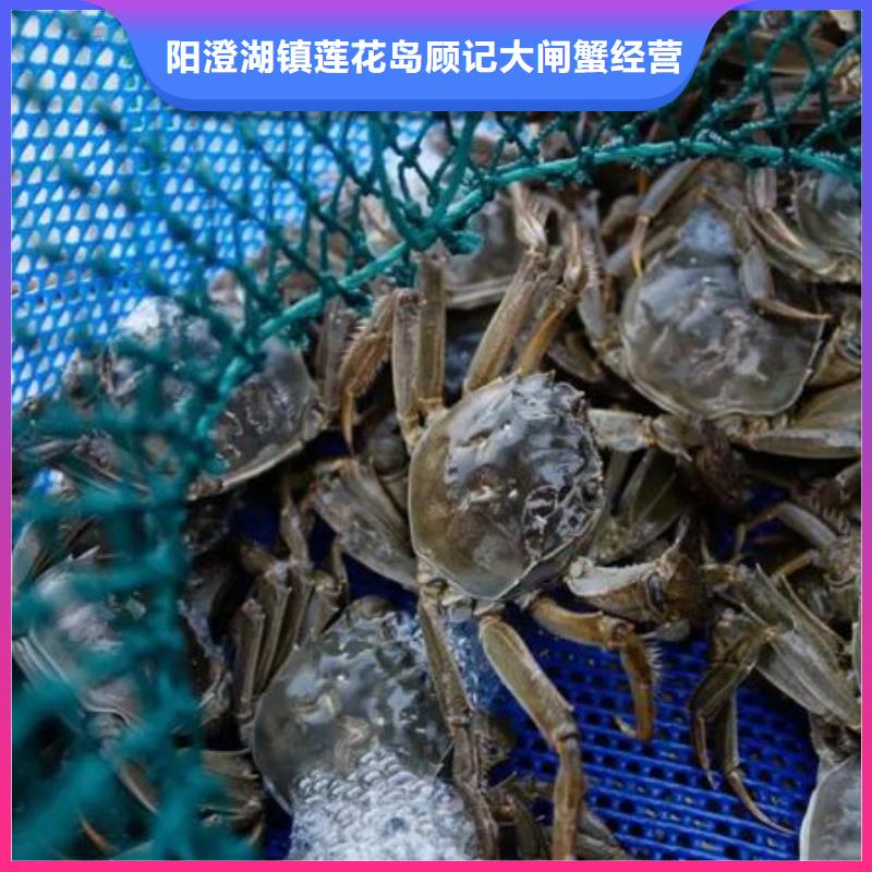 八公山区阳澄湖大闸蟹