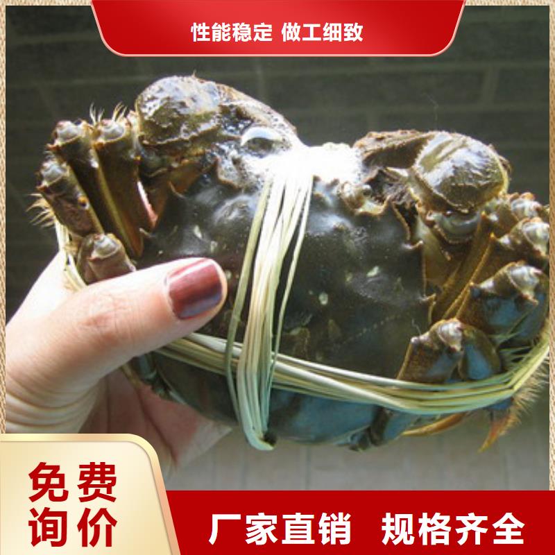 八公山区阳澄湖大闸蟹