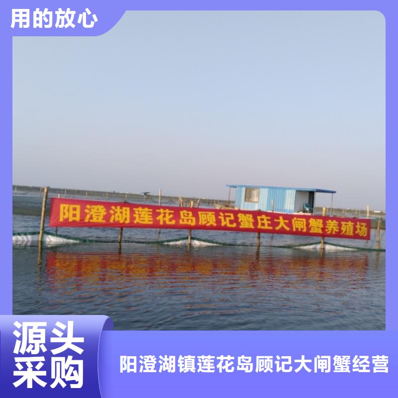 买大闸蟹