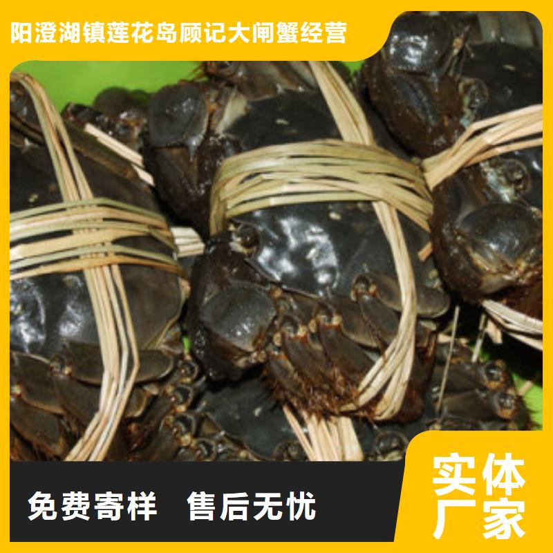 江北区阳澄湖吃大闸蟹哪里好