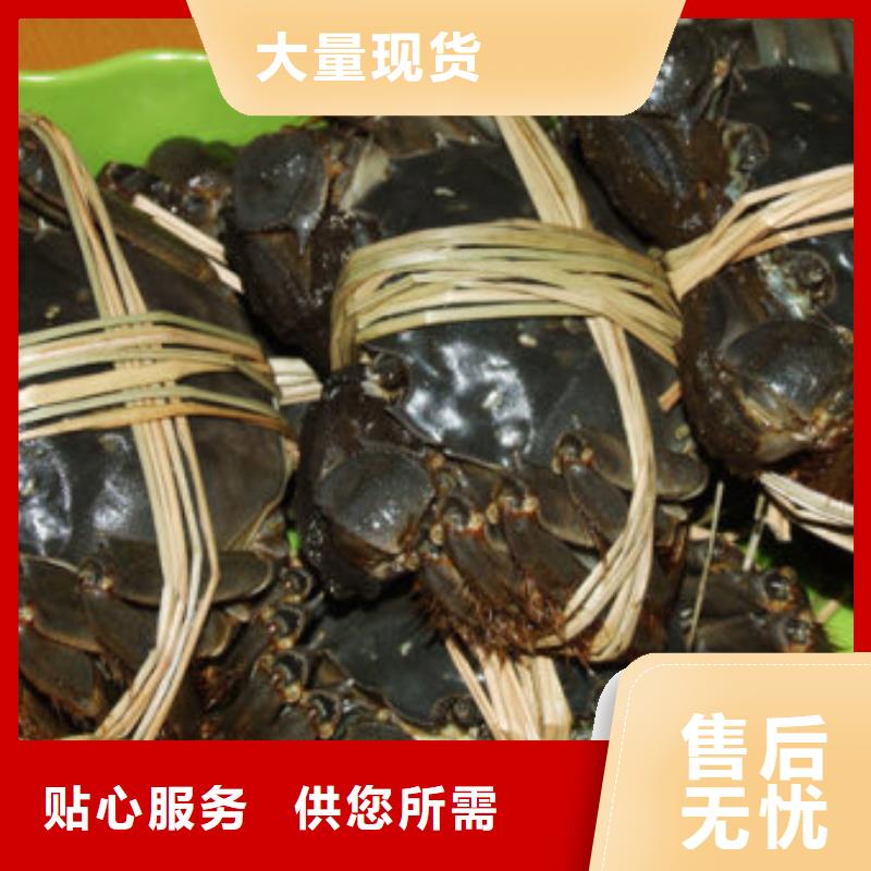 螃蟹现货即发