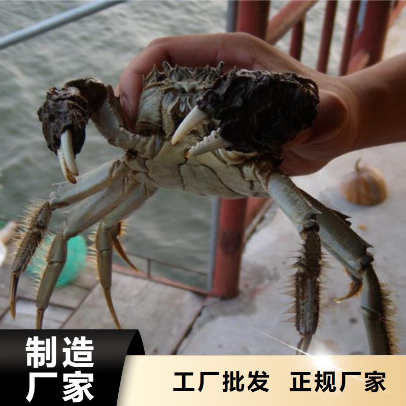 鲜活阳澄湖螃蟹礼券