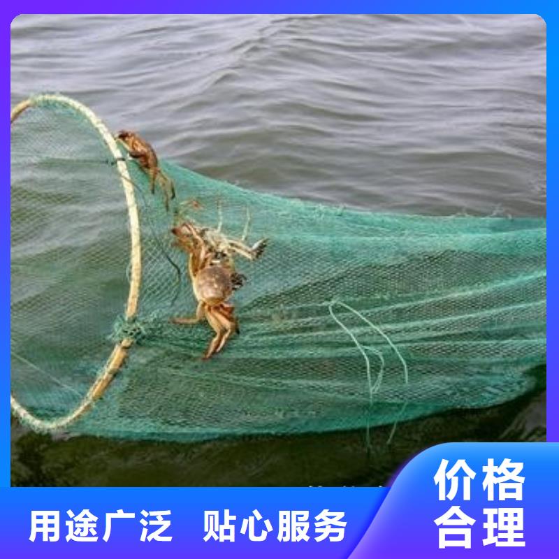 八公山区阳澄湖大闸蟹