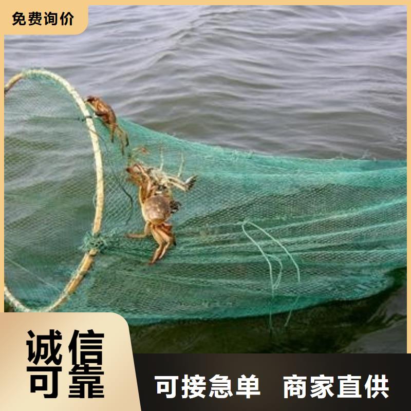 江北区阳澄湖吃大闸蟹哪里好