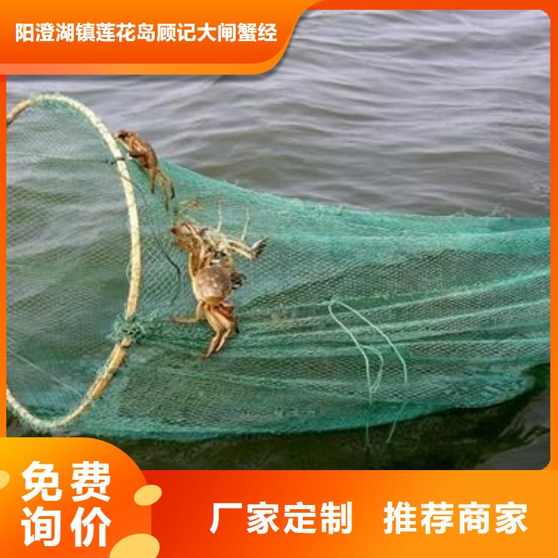 忠县阳澄湖吃大闸蟹哪里好
