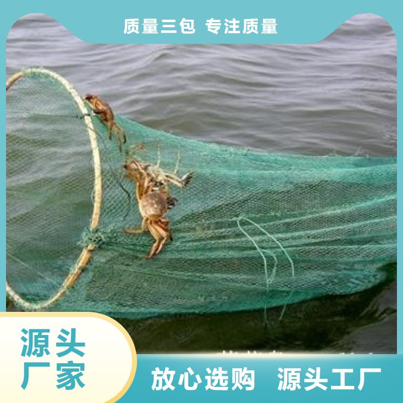 螃蟹现货即发