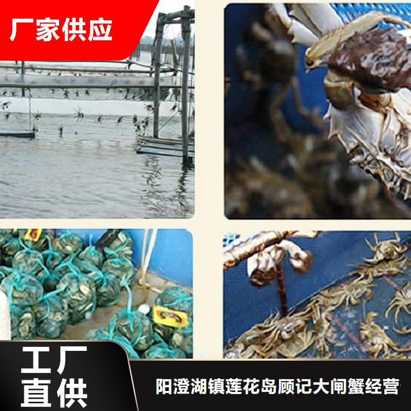 大闸蟹品质保证