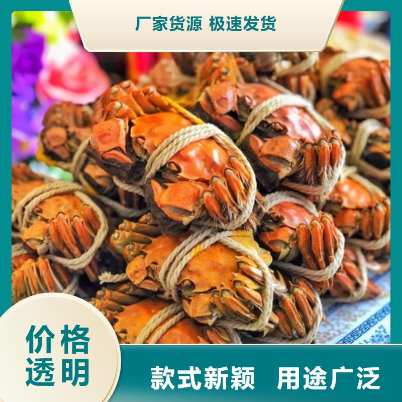 八公山区阳澄湖大闸蟹