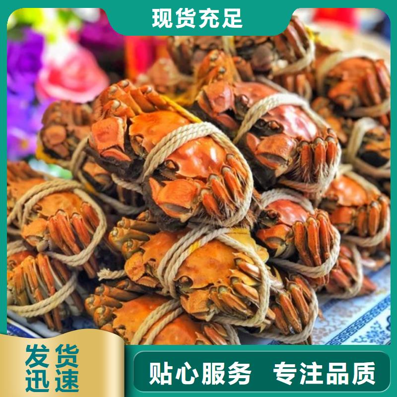 忠县阳澄湖吃大闸蟹哪里好