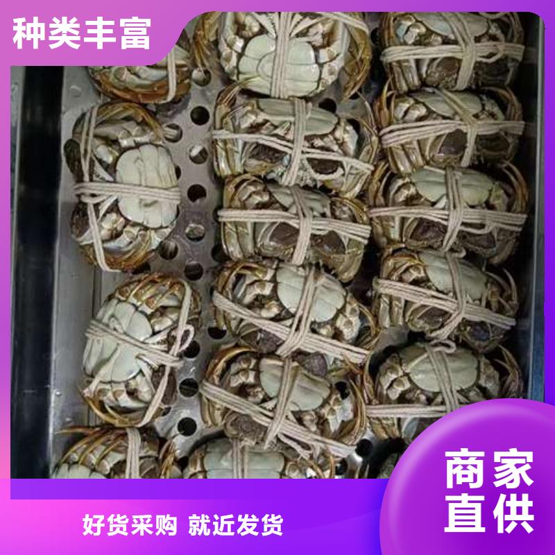 #阳澄湖大闸蟹#-质量过硬