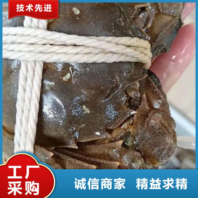 阳澄湖大闸蟹优选供货商