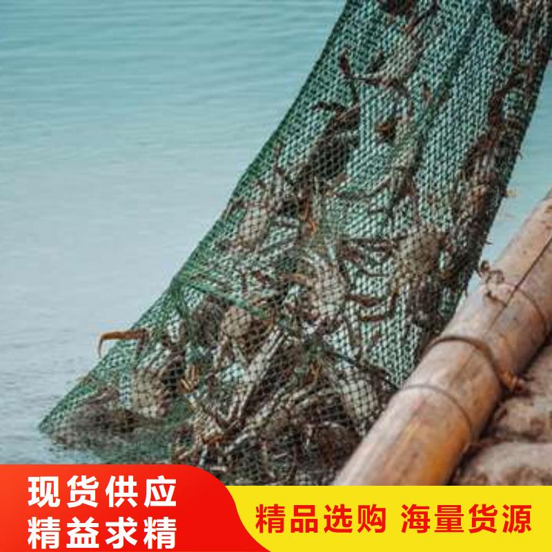 #阳澄湖大闸蟹#-质量过硬