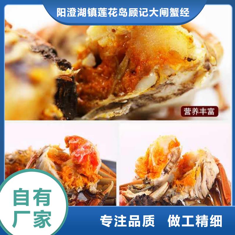 阳澄湖大闸蟹优选供货商