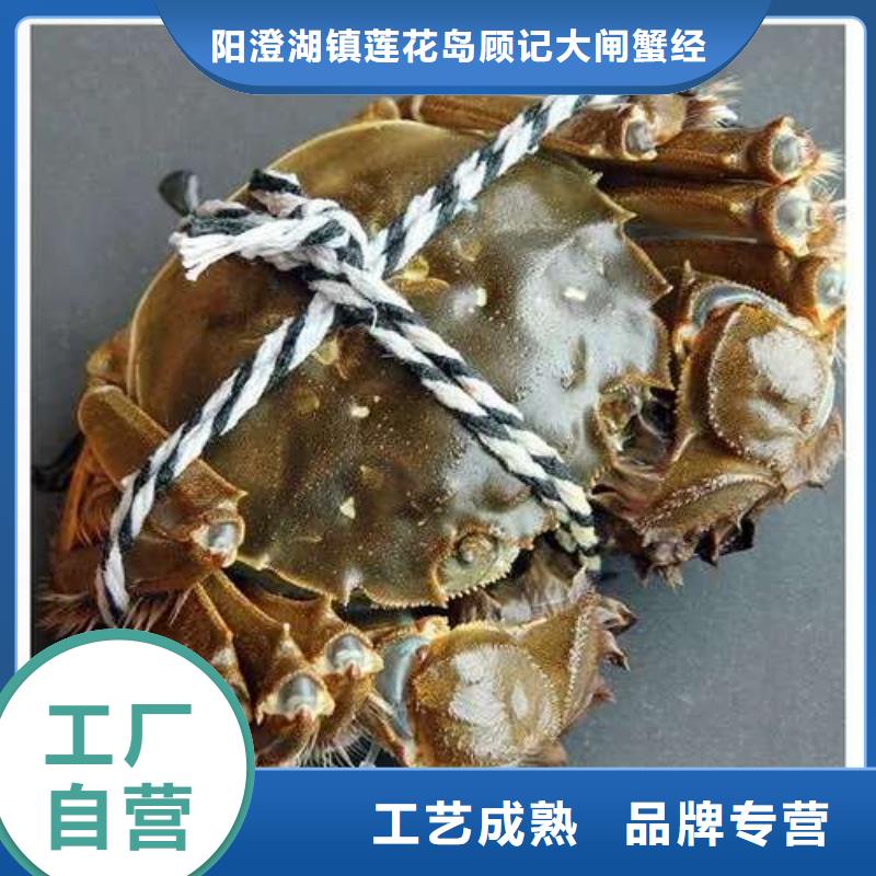 阳澄湖大闸蟹厂家-质量保证