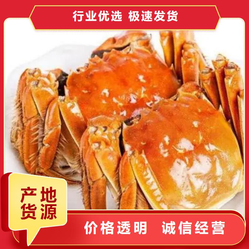阳澄湖大闸蟹厂家-质量保证