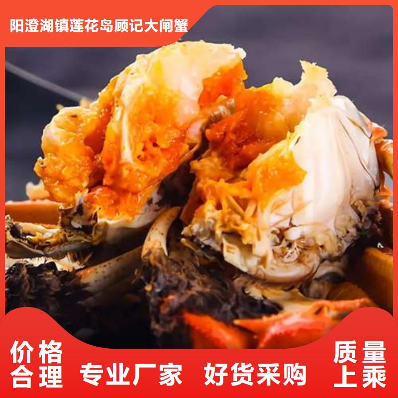 阳澄湖大闸蟹厂家-质量保证