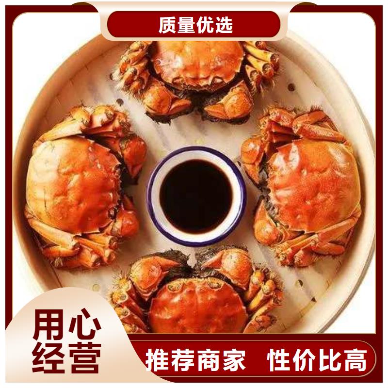 阳澄湖大闸蟹-精选厂家