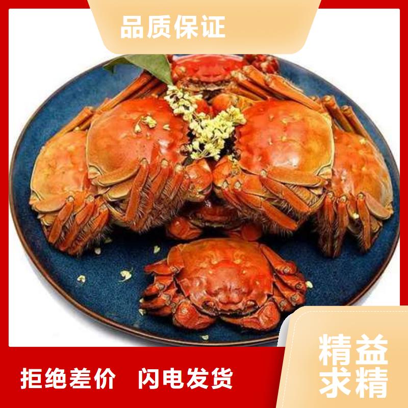 阳澄湖大闸蟹厂家