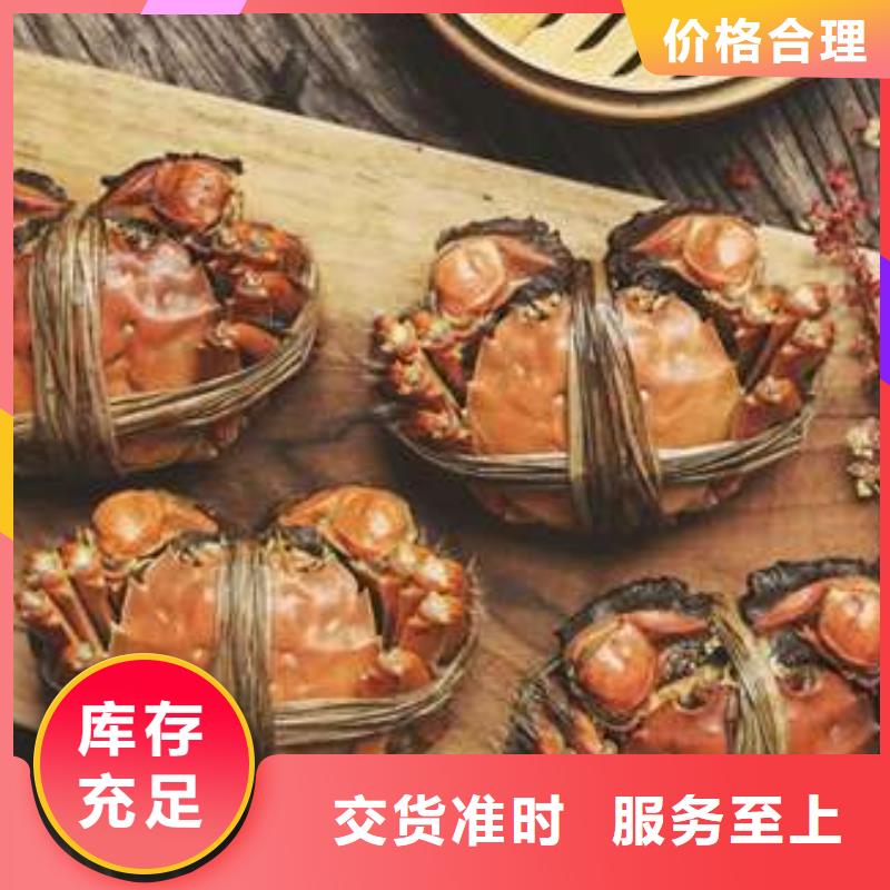 阳澄湖大闸蟹-精选厂家