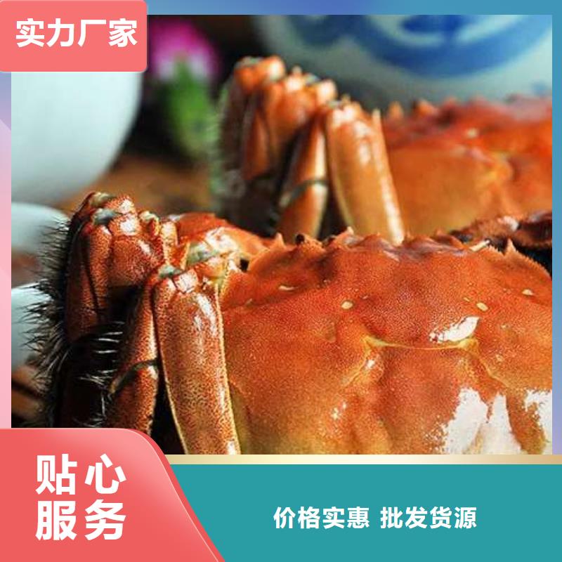 阳澄湖大闸蟹厂家-质量保证