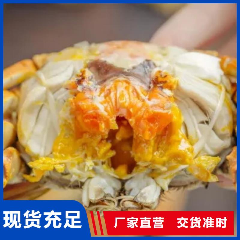 阳澄湖大闸蟹优选供货商