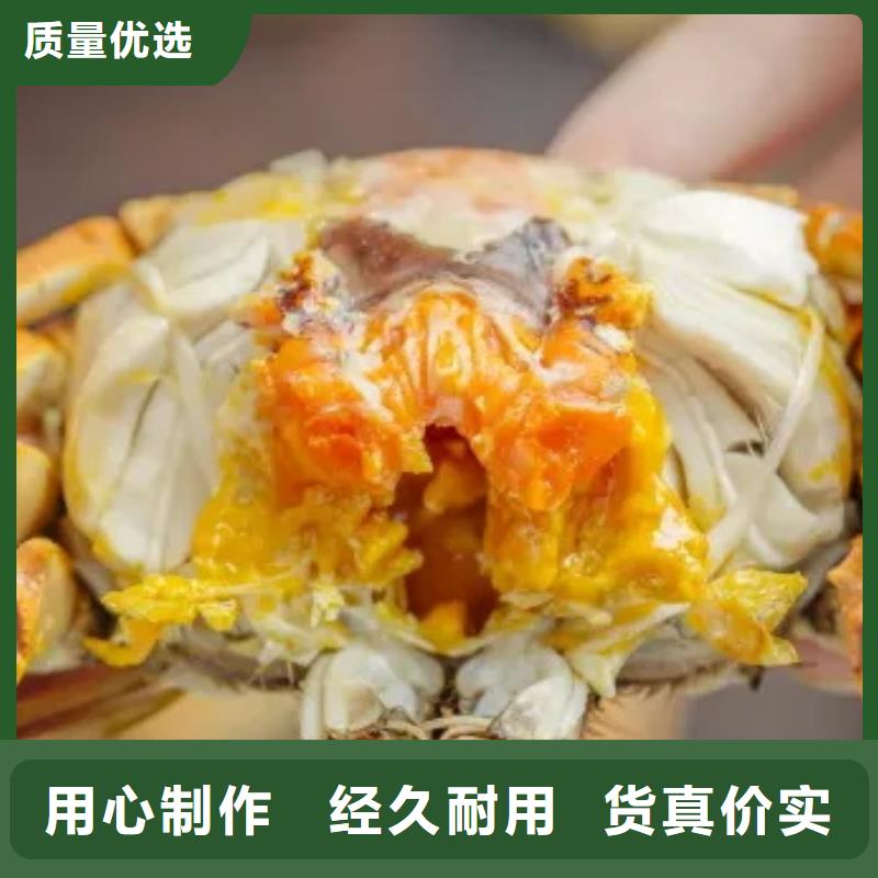 阳澄湖大闸蟹厂家-质量保证