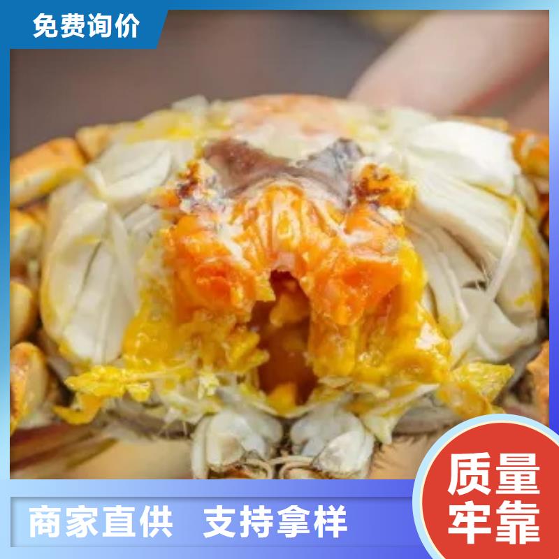 阳澄湖大闸蟹厂家