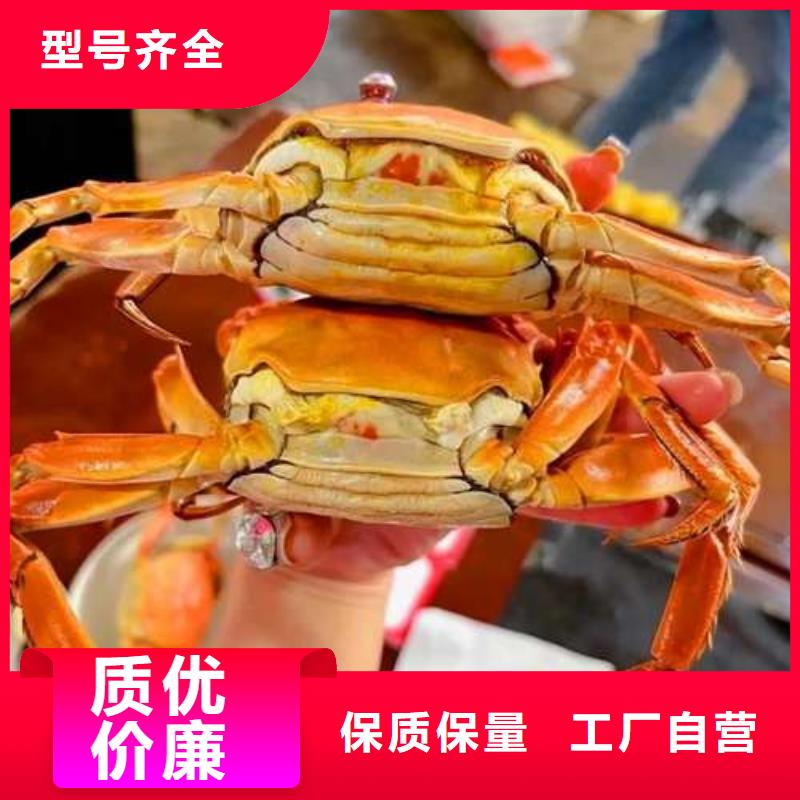 阳澄湖大闸蟹优选供货商