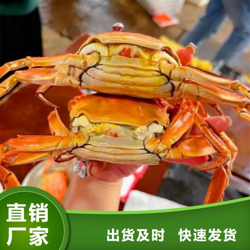 阳澄湖大闸蟹厂家