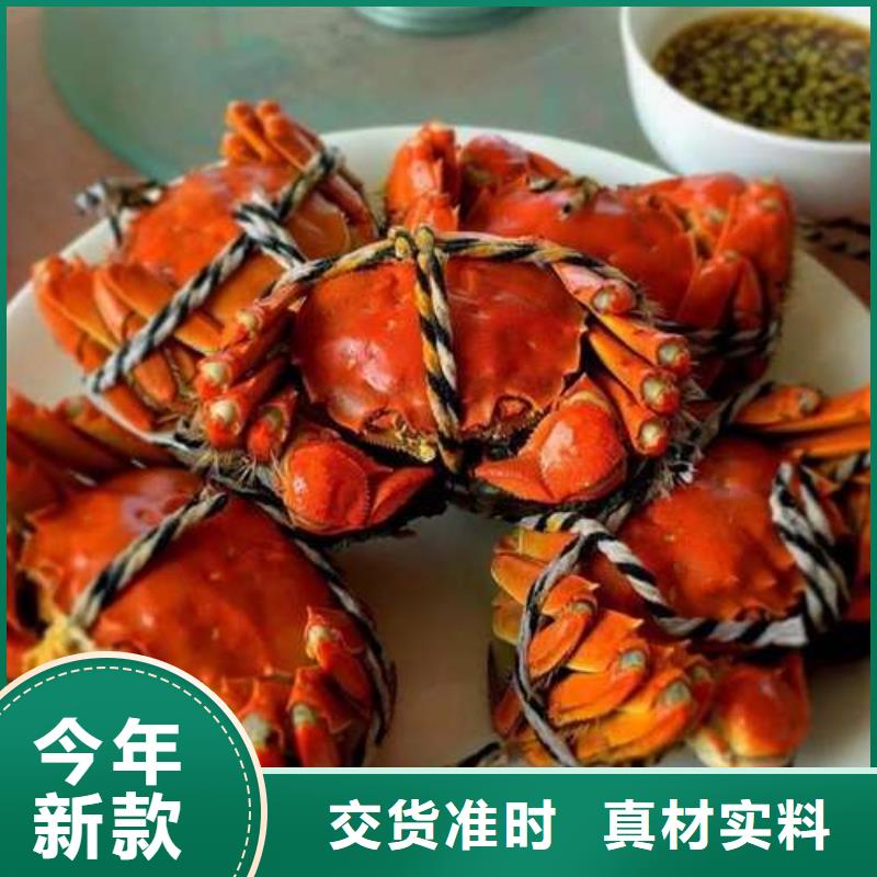 阳澄湖大闸蟹优选供货商