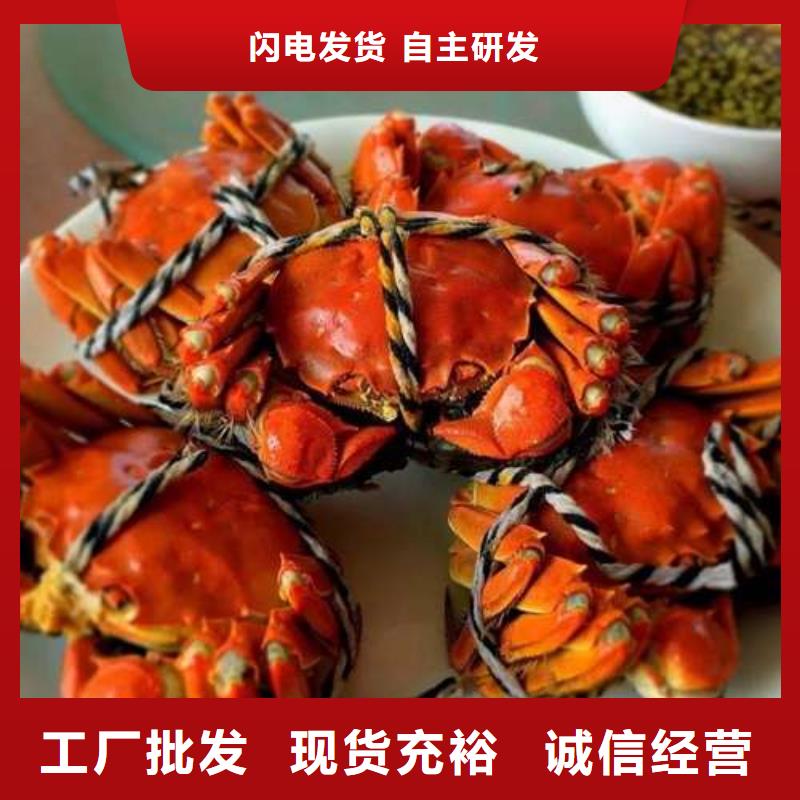 阳澄湖大闸蟹厂家-质量保证