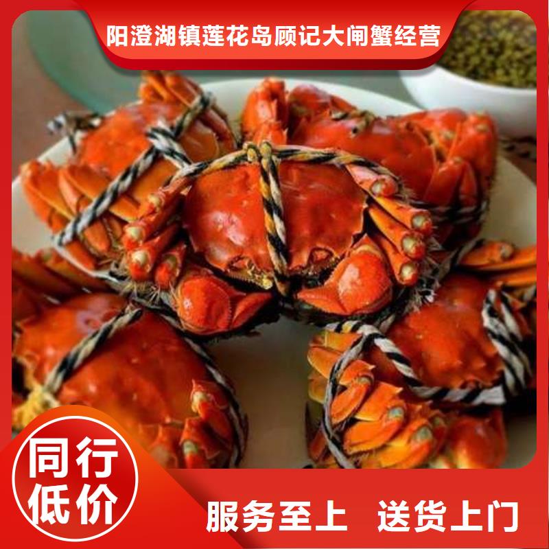 阳澄湖大闸蟹厂家
