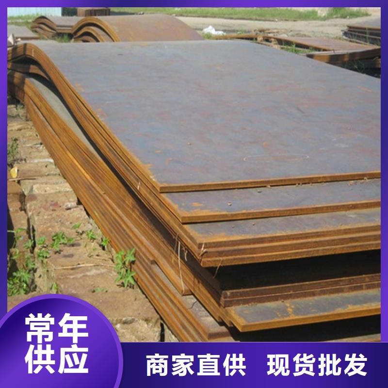 Q460D低温板型号齐全