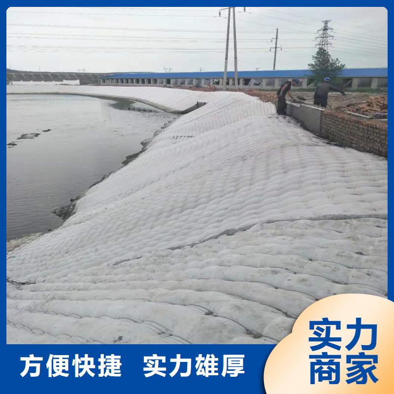 污水管道封堵施工-本地水下施工队