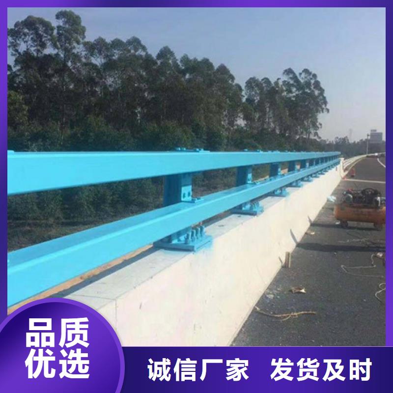 防撞钢护栏实力厂家