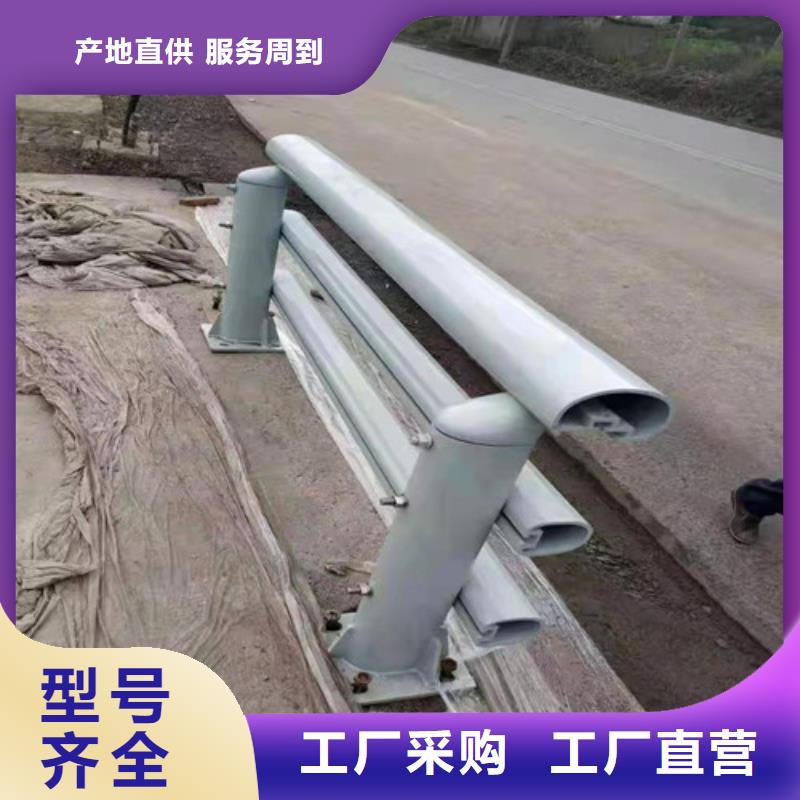 定做桥梁防撞护栏