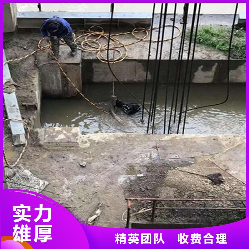 安阳市闸门水下堵漏-本地潜水作业单位