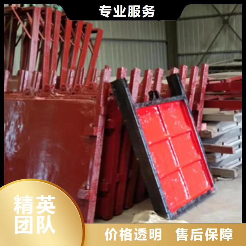一体式铸铁闸门