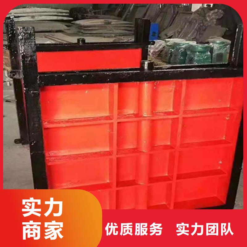 启闭机闸门-镶铜双向铸铁闸门精益求精