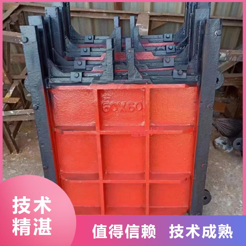 五通桥县排灌渠铸铁闸门按需定制
