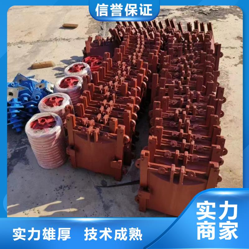 周至县铸铁镶铜闸门源头好货