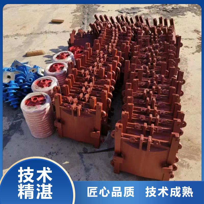 铸铁闸门-机闸一体铸铁闸门经验丰富