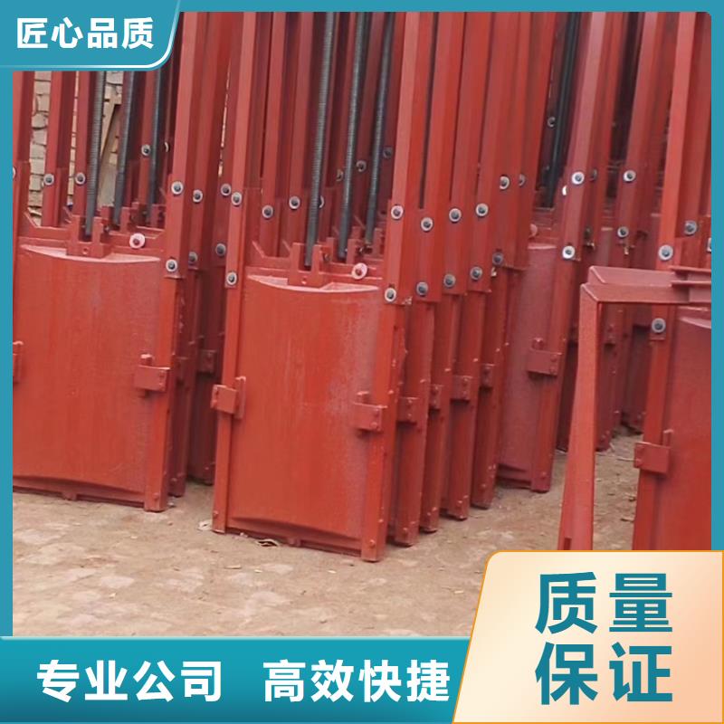 水电站闸门_附壁式铸铁镶铜闸门[制造生产商]